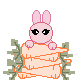 rabbit042.gif
