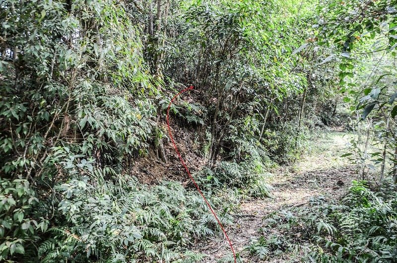 比來山西南峰廢產道上切點