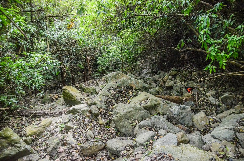 水頭排登山溪谷