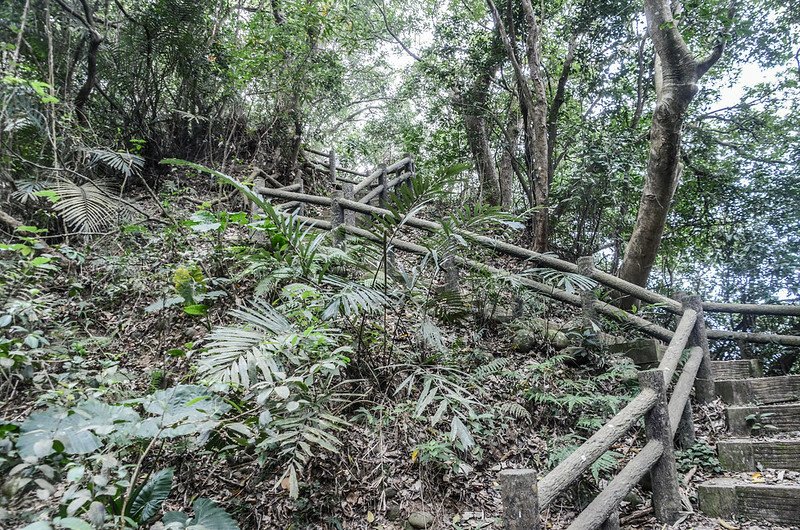 飛龍登山步道 (2)