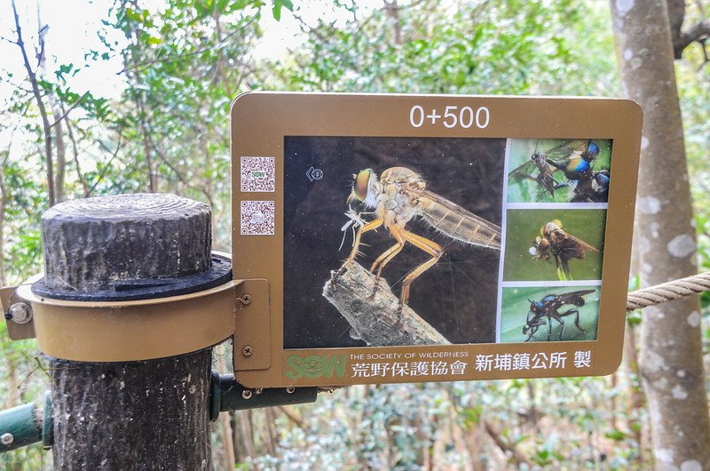 飛龍登山步道里程、生態解說牌