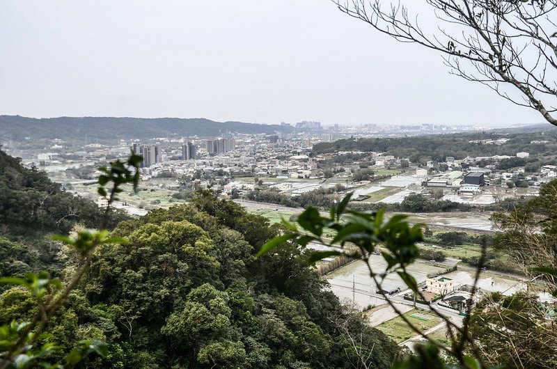 飛龍登山步道西邊遙望新埔街區