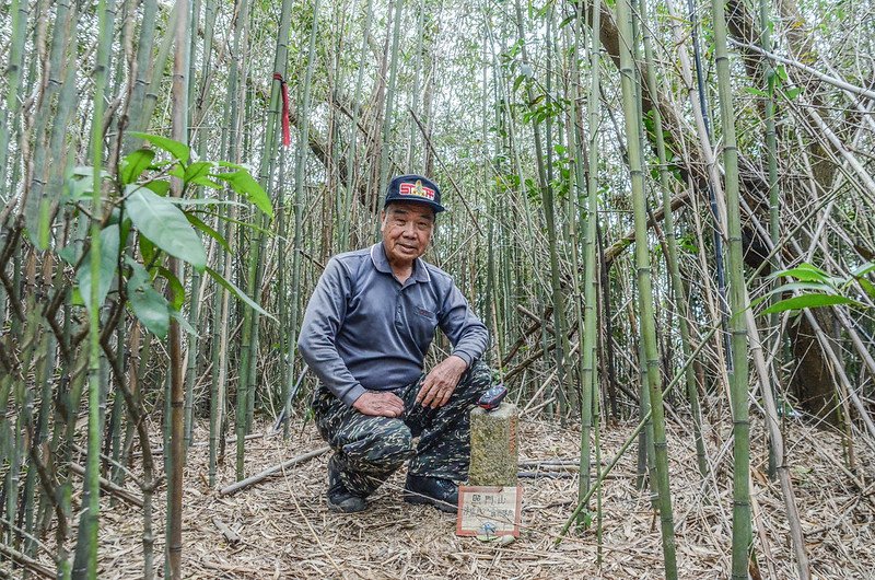 照門山山頂