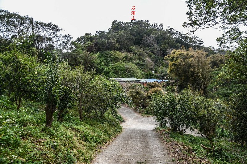 石頭山登山步道望石頭山 1