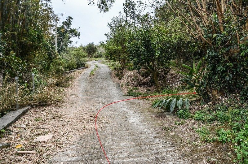 石頭山登山步道岔路