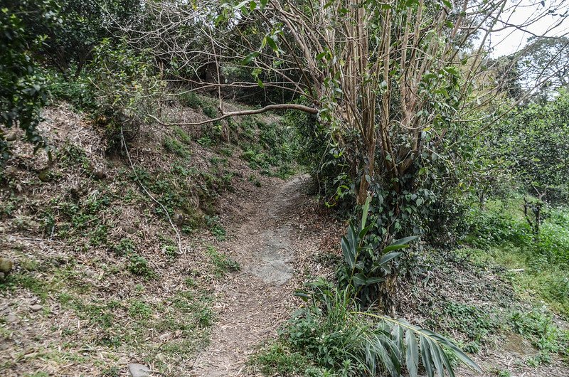 石頭山登山小水泥路