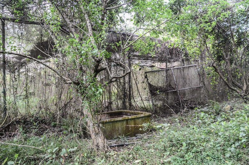 水坑廣山廢棄網室栽培園