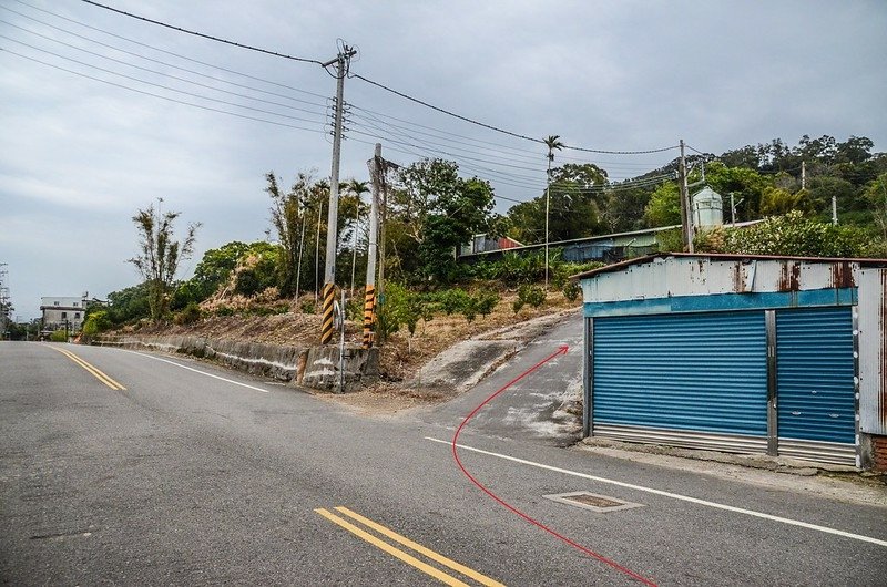 鬱杉山竹16鄉道岔路