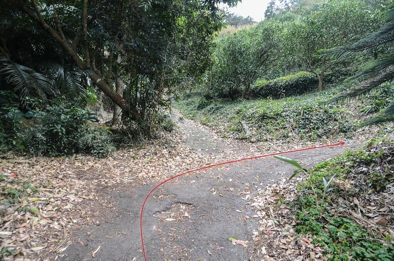 鬱杉山登山路徑