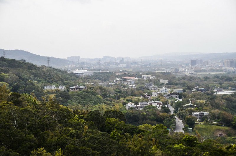 鬱杉山俯瞰新埔街區 (2)