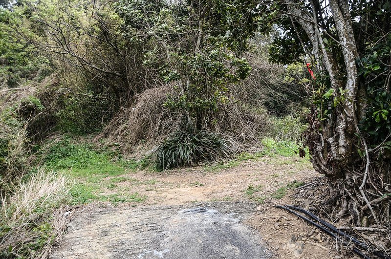 鬱杉山登山水泥路底