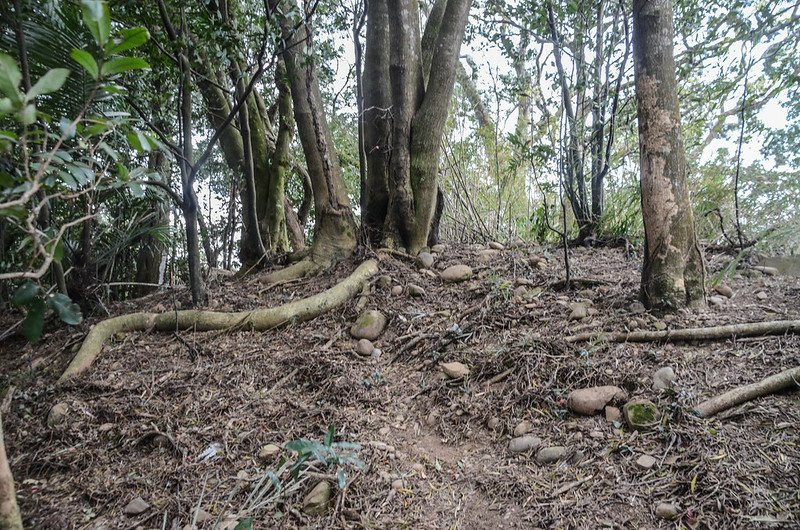 鬱杉山最高點