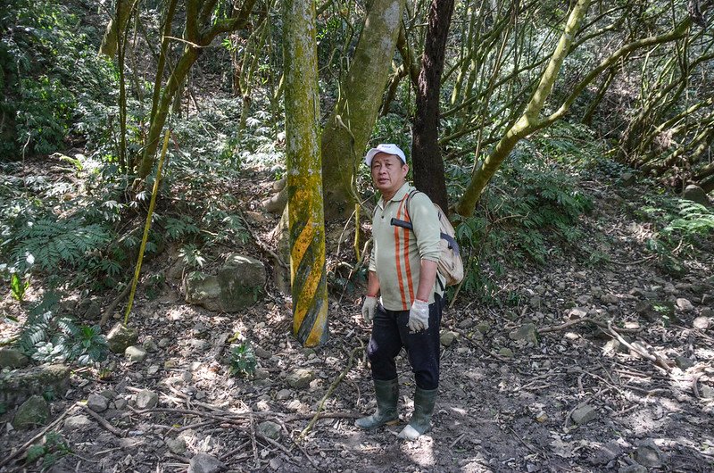 掘沓山廢產道登山口