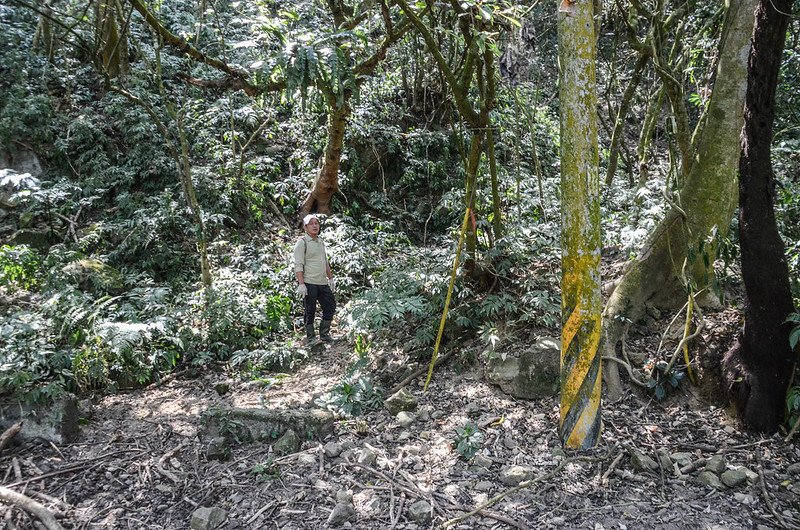 掘沓山山頂稜線下凹谷 (1)