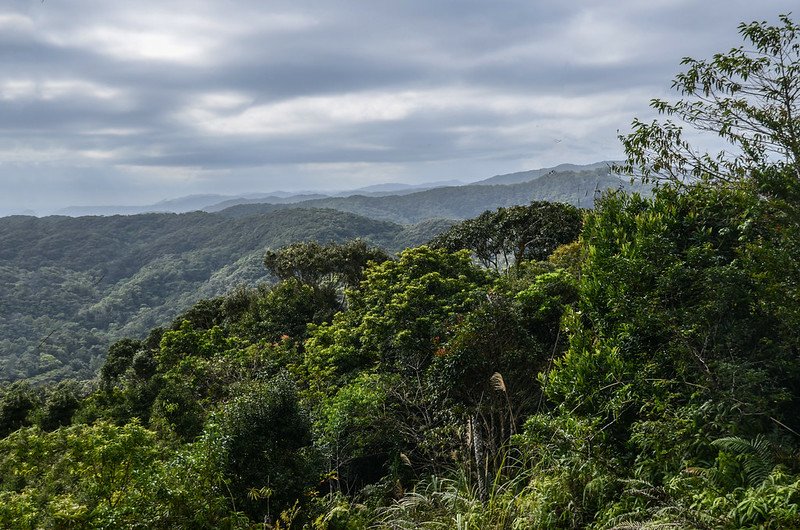 內文北山產道南望群山