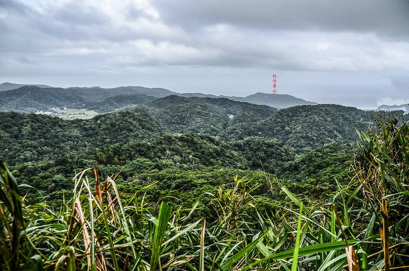 上牡丹山東北望群山 (3)-1