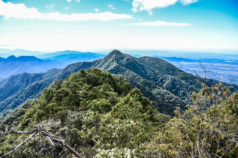 鳶嘴山步道西南俯瞰橫嶺山連稜 (1)