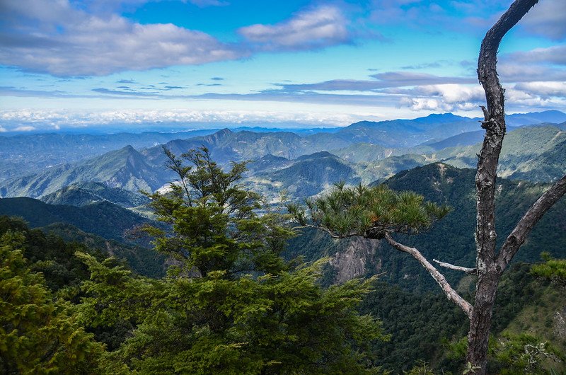 鳶嘴稍來步道岩壁拉繩區(H 2145 m)西北俯瞰馬克連稜 (2)