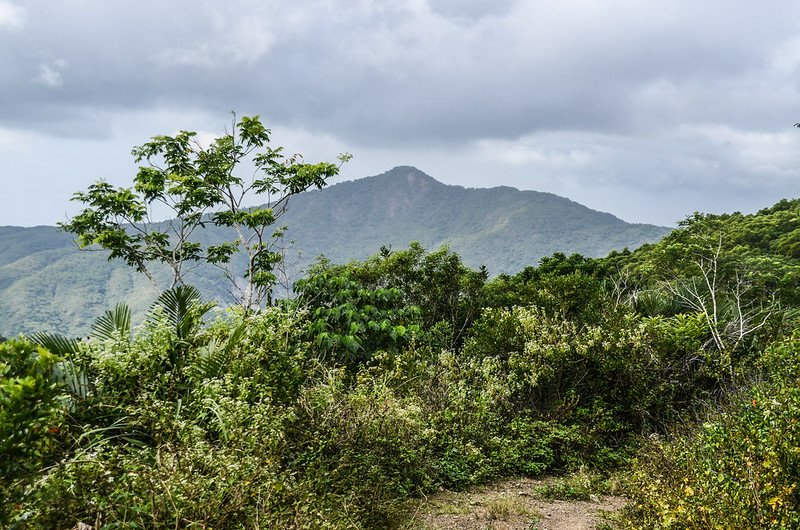 草埔後山產道西北眺中心崙山