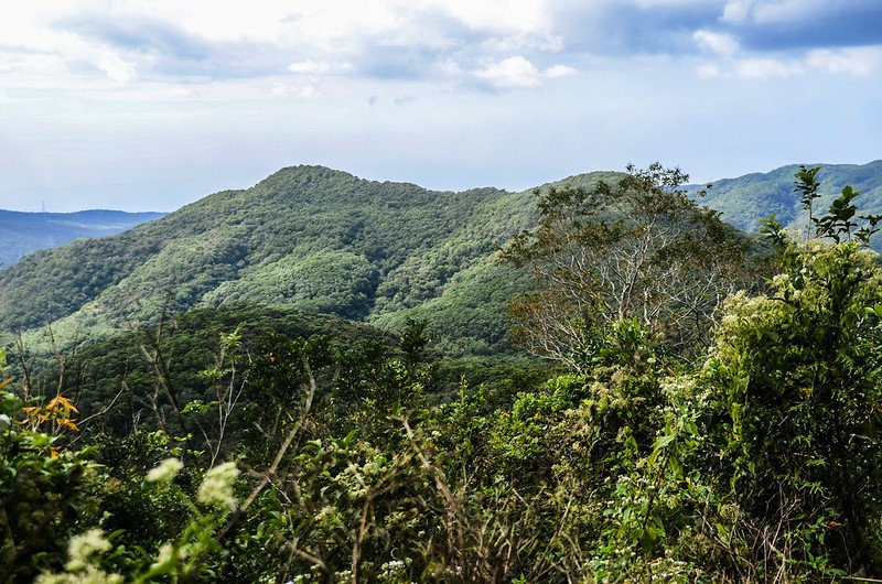 草埔後山產道西眺巴士墨山(L)