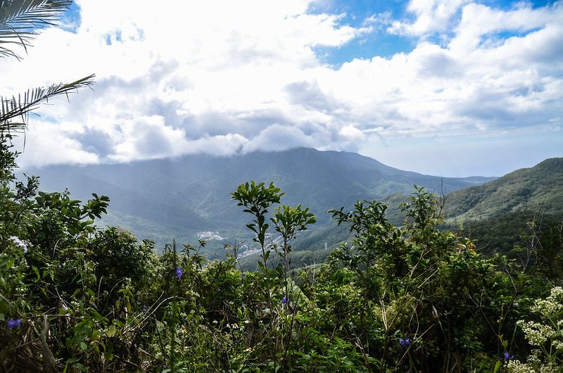 草埔後山產道南眺里龍山系