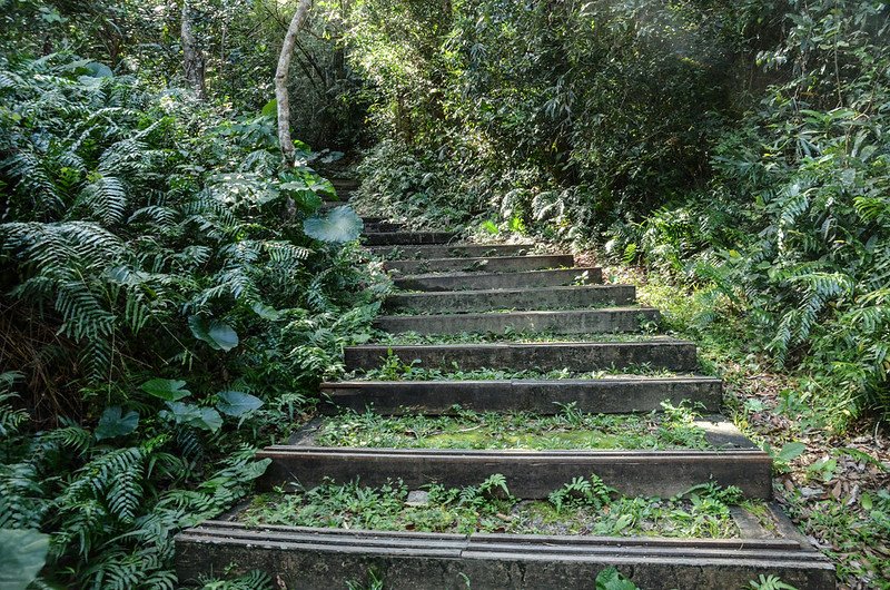 帽子山步道 (1)