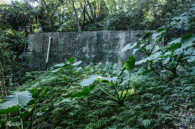 帽子山步道旁方形蓄水槽