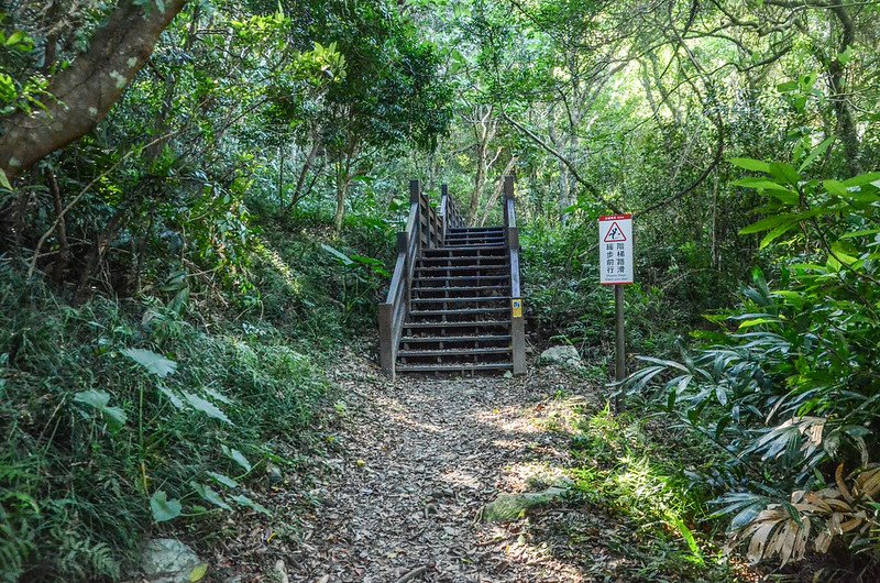 帽子山步道木棧道