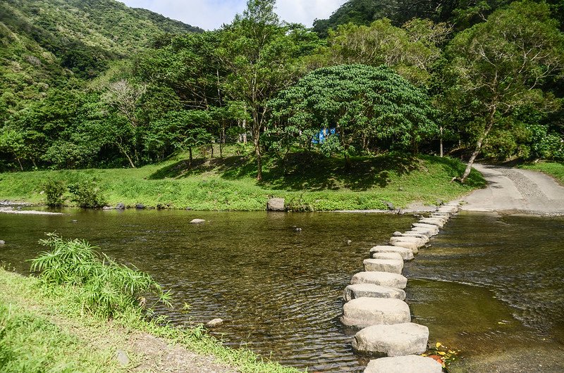 雙流森林遊樂區瀑布步道涉溪墊腳石 (2)