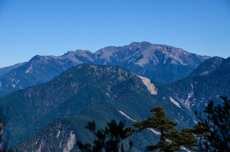 塔關山步道(H 2975 m)北望玉山群峰 (3)