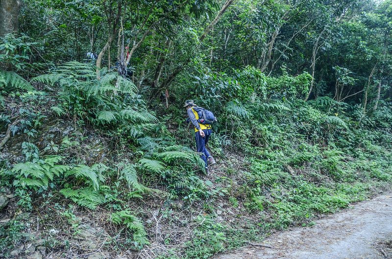 大武藏山北峰登山口