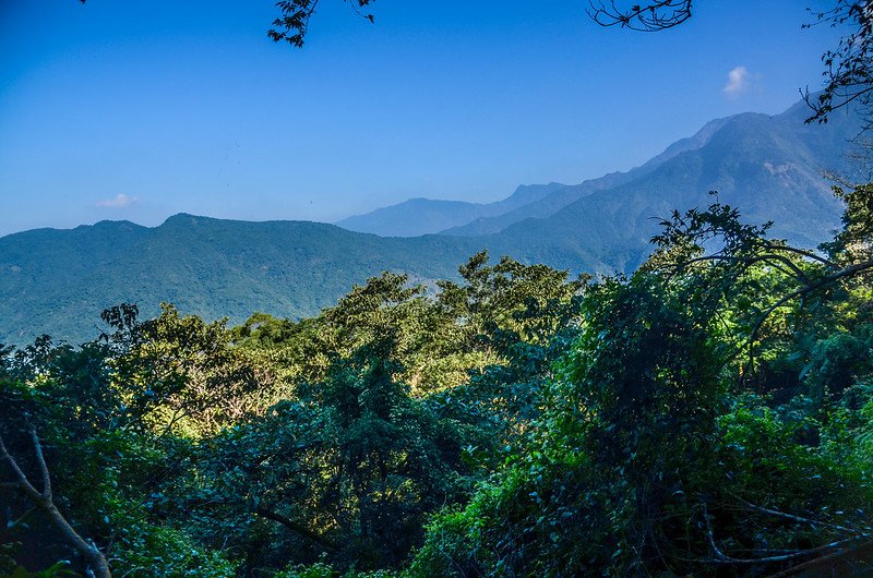 大武藏北峰山徑(H 816 m) 北望群山 (1)