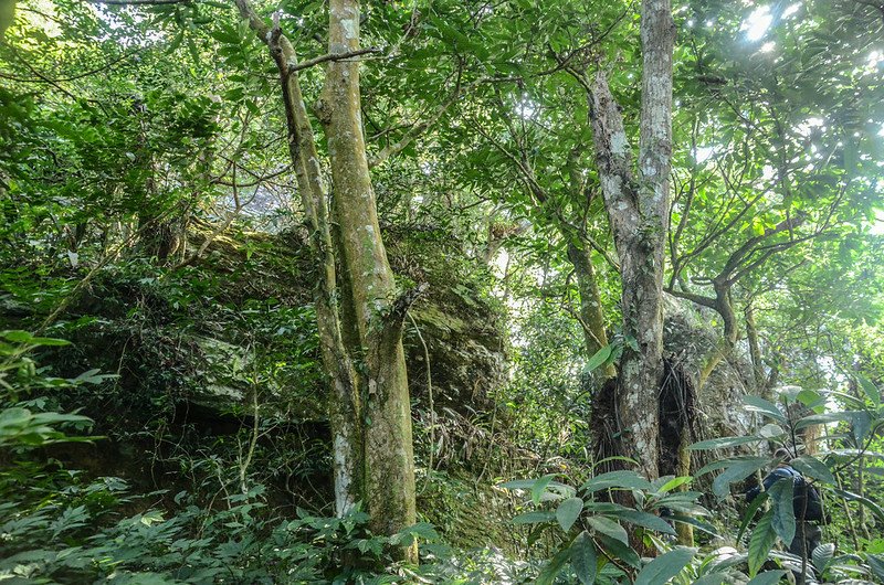 大武藏山北峰巨岩區 (2)