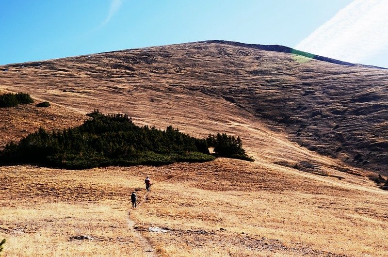 On the way up to the saddle between Mount Parnussus &amp; Woods Mountain (1)