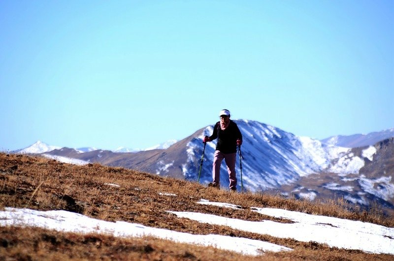 On the saddle between Mount Parnussus &amp; Woods Mountain (5)