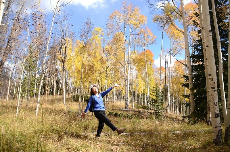 Taken from Lily Pad Lake Trail (6)