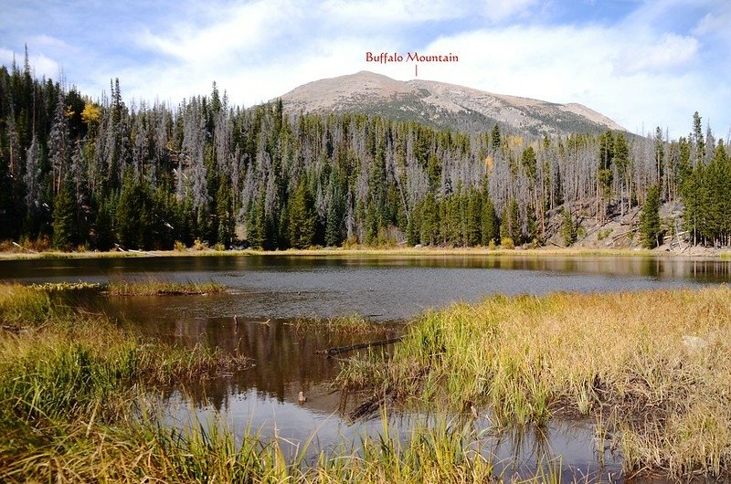 Lily Pad Lake (1)