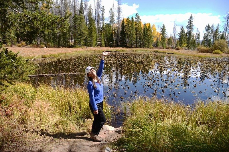 Lily Pad Lake (small pond) (5)