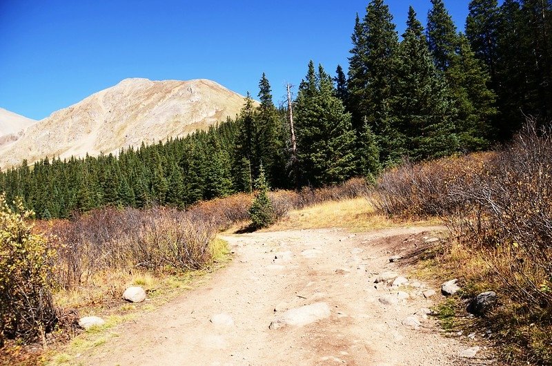 Chihuahua Gulch Rd (Forest Rd 263) fork #1， bear left