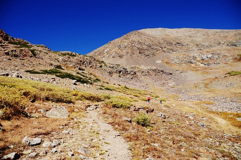 Looking north at Grizzlk Peak from Chihuahua Gulch Trail near 11,873 ft.