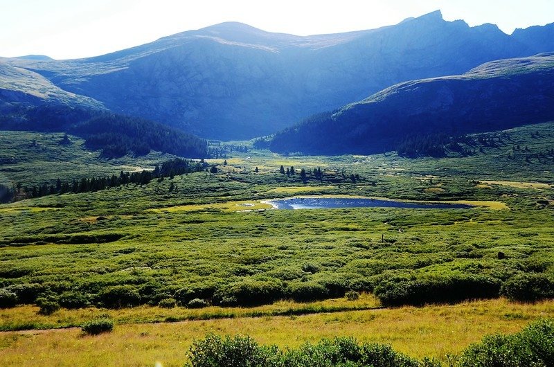 Looking east over the marshes at the headwaters of Scott Gomer Creek from Guanella Pass