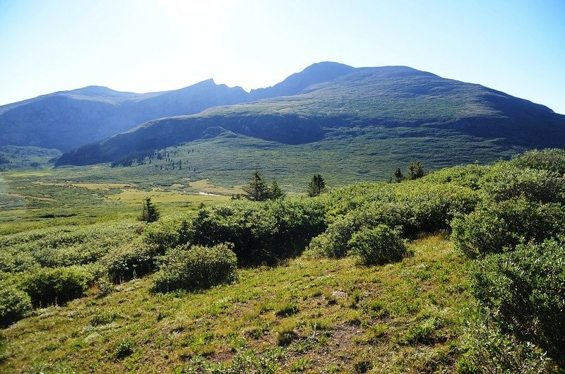 Looking east at Mount Bierstead from the trail (1)