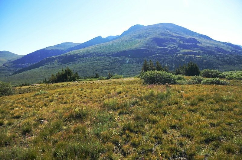 Looking east at Mount Bierstead from the trail (2)