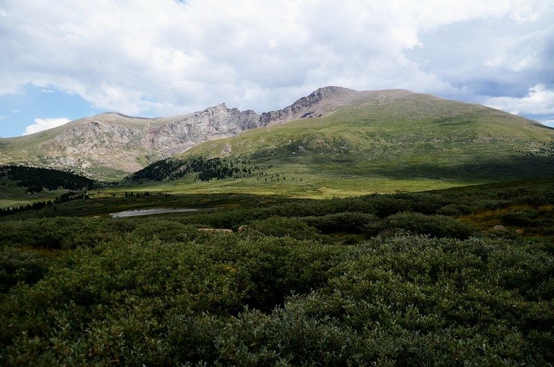 Looking east at Mount Bierstead from the trail (4)