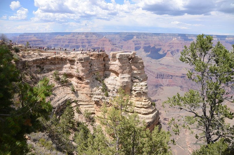 Grand Canyon National Park (8)