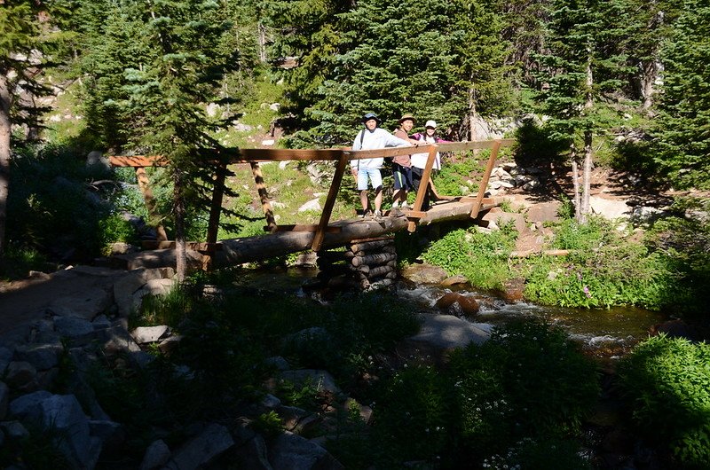 Mitchell Lake inlet crossing by log bridge