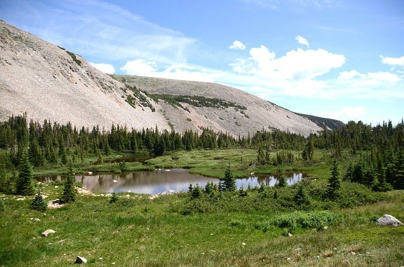 Beaver pond in the valley along Blue Lake Trail  (8)