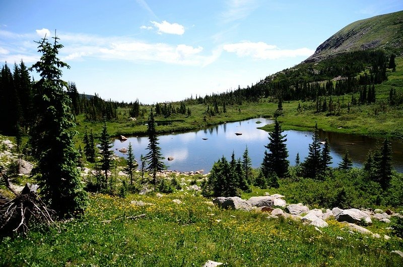 Beaver pond in the valley along Blue Lake Trail  (5)