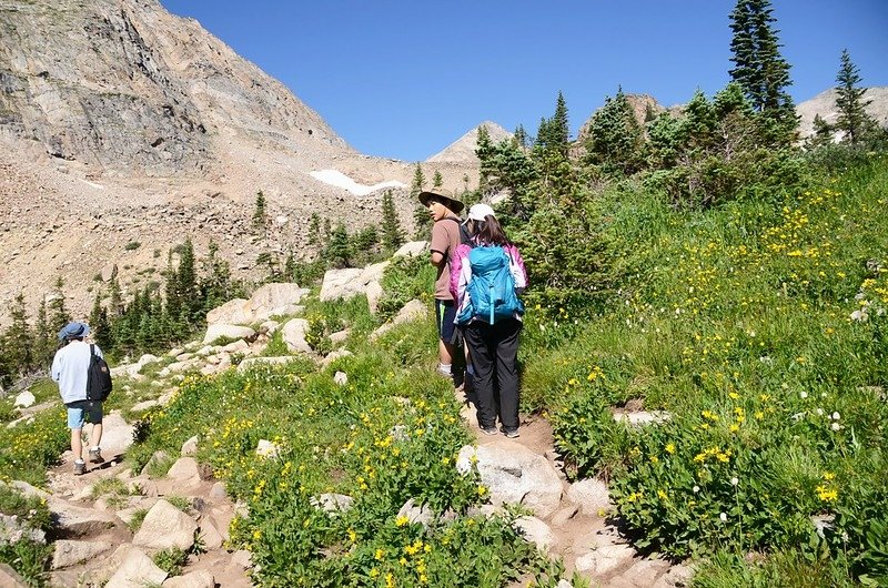 Wildflowers blooming along Blue Lake Trail  (1)