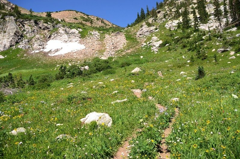 Lead to Upper Crater Lakes (1)